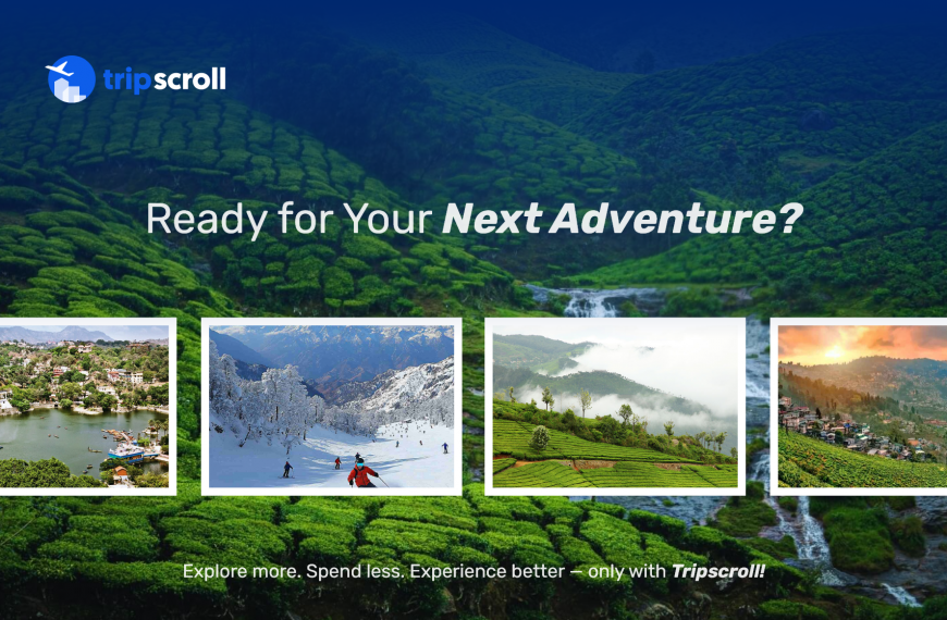 Tripscroll — Your Ultimate Travel Companion is Here!